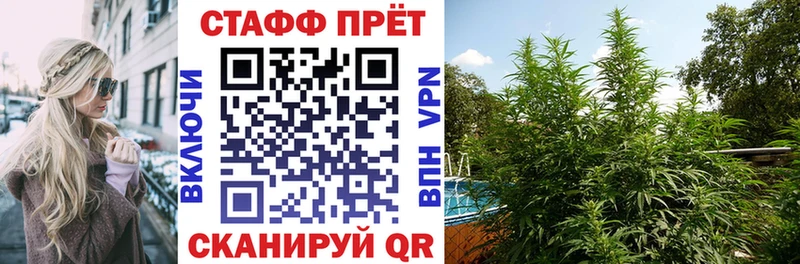 Сколько стоит Георгиевск Гашиш  Марихуана  СОЛЬ  МЕФ  КОКАИН 