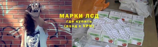 PSILOCYBIN Гусев