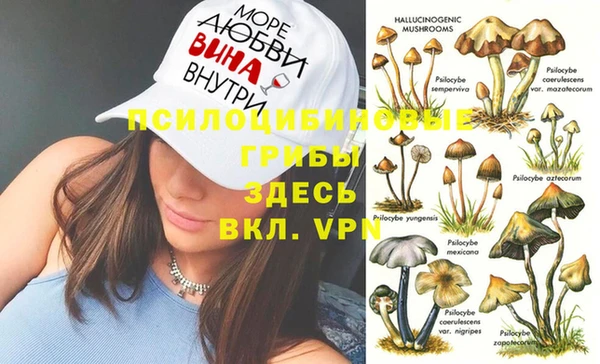mix Гусь-Хрустальный