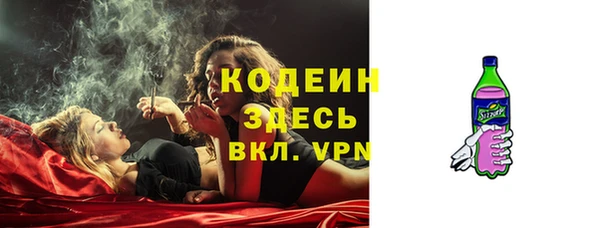 мдпв Горнозаводск