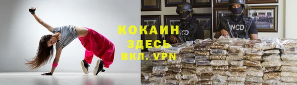 дмт Горно-Алтайск