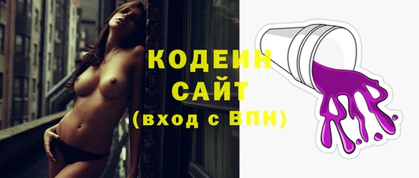 мдпв Горнозаводск