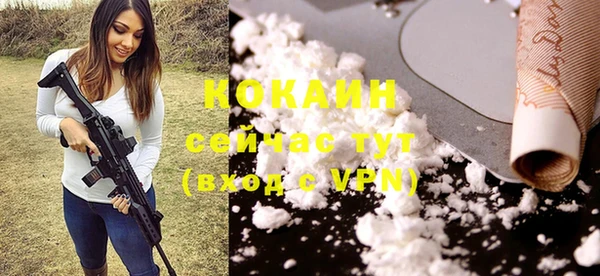 мдпв Горнозаводск