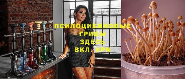 PSILOCYBIN Гусев