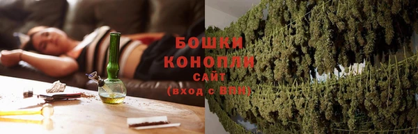 PSILOCYBIN Гусев