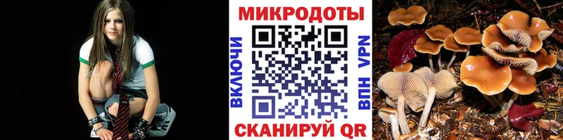 Галлюциногенные грибы Psilocybe  сколько стоит  Георгиевск 